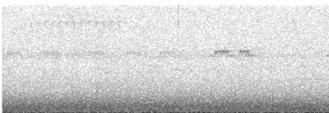 Rostbrust-Ameisendrossel - ML613271263