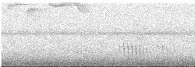 Ak Kanatlı Piranga - ML613271353
