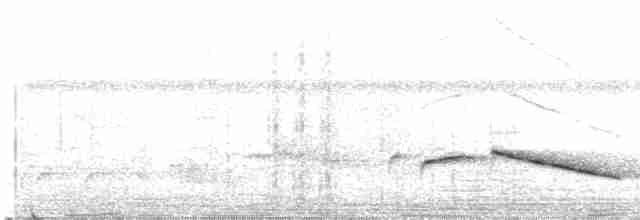 Spot-winged Thrush - ML613271356