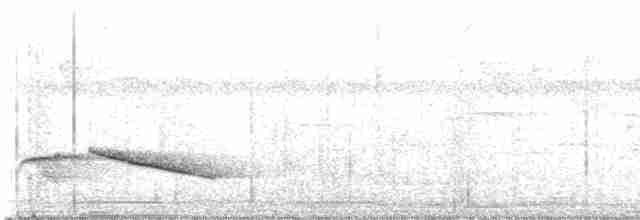 Benek Kanatlı Ardıç - ML613271422