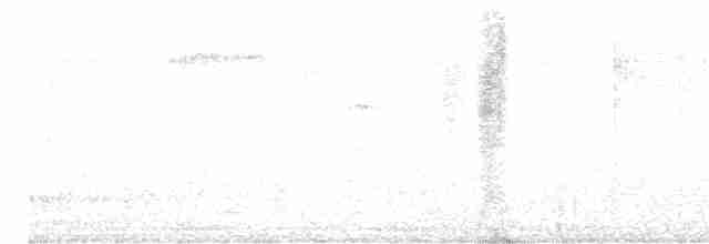 White-necked Crow - ML613277165