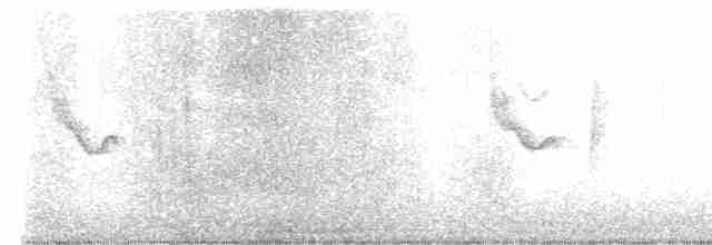 Swinhoe's White-eye - ML613277469