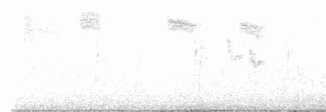 Zostérops de Swinhoe - ML613277470