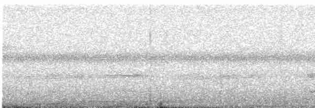 Bändernachtschwalbe - ML613281395