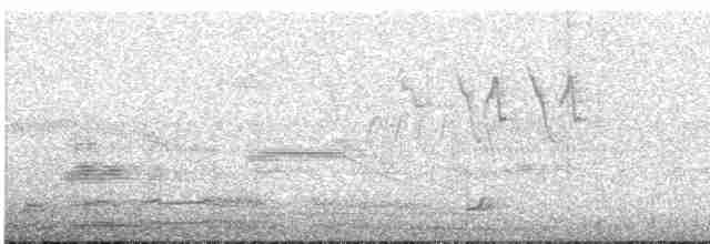 Bändernachtschwalbe - ML613281406