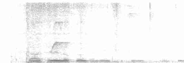 White-crowned Manakin - ML613285968