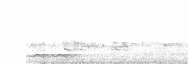 Cratérope affin - ML613288423