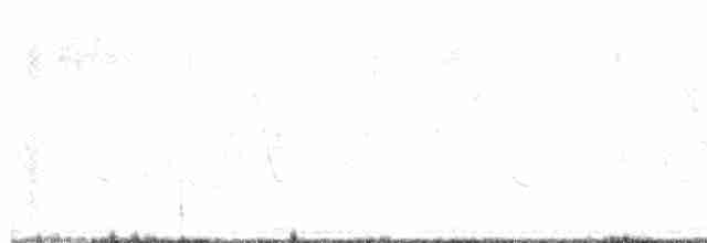Гиацинтовая гуирака - ML613291453