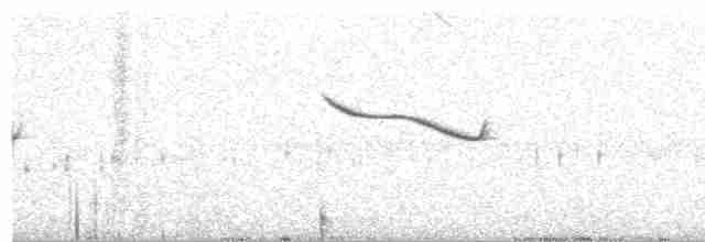 Breitspiegel-Nachtschwalbe - ML613292684