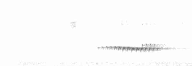 Веерохвостая кукушка - ML613296160