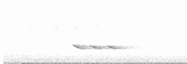 Зелёный сорокопутовый виреон - ML613296876