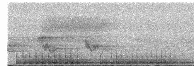 Pileated Woodpecker - ML613296943