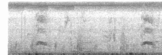 Weißbart-Seeschwalbe - ML613298493
