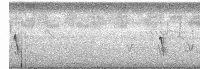 Щетинистая долгохвостка - ML613298794