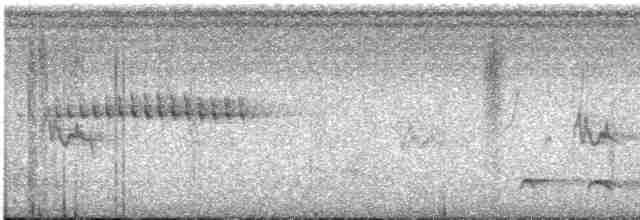 svartlarveeter - ML613301905