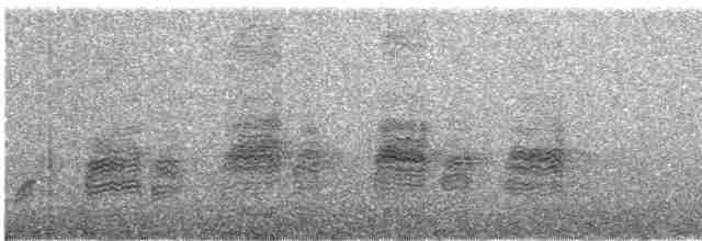 svartryggvarsler - ML613303552