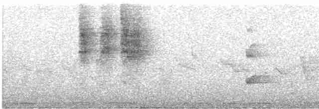 Güneyli Çift Kuşaklı Nektarkuşu - ML613303561