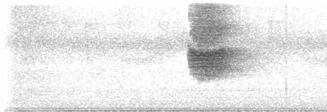 白斑紫嘯鶇(黃嘴) - ML613303880