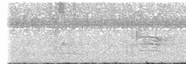 Rostflankenkleiber - ML613304009