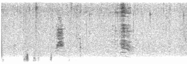 חרטומית סיבירית - ML613304606