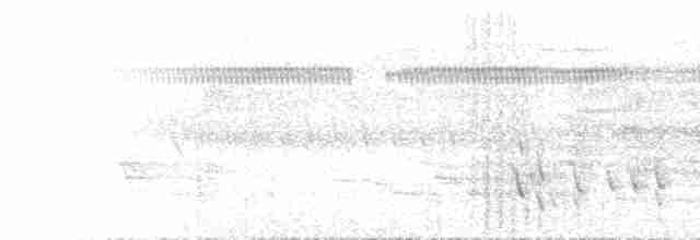 Віялохвістка північна (підвид cinerea) - ML613305107