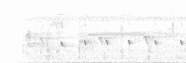Віялохвістка північна (підвид cinerea) - ML613305109