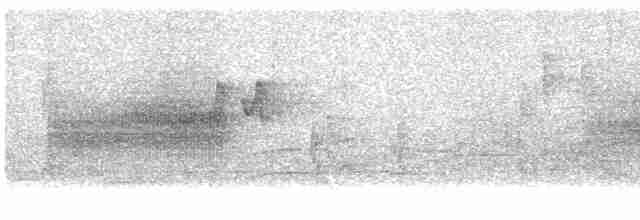 Трав’янка сіра - ML613306214