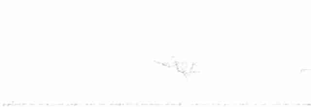 Cerulean Warbler - ML61330811