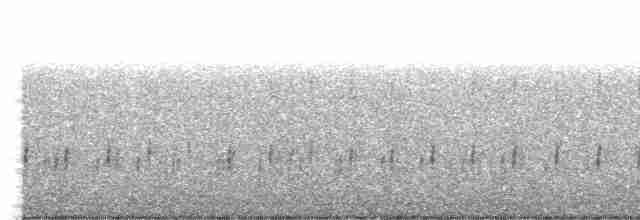 Сипуха крапчаста - ML613309523