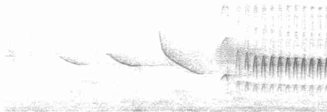 Pic bûcheron - ML613309529