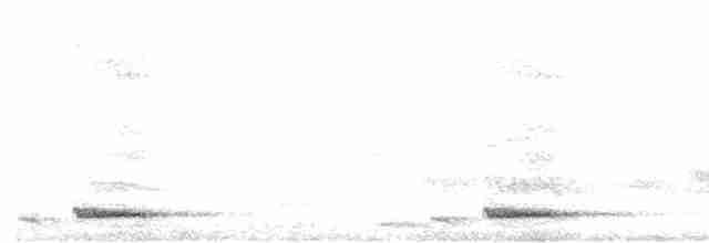 White-cheeked Barbet - ML613309604