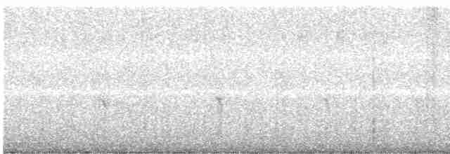 Шишкар ялиновий - ML613311269