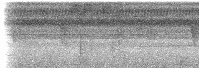 holub šedorůžový - ML613311568