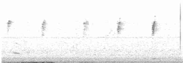 Атласная нектарница - ML613311693