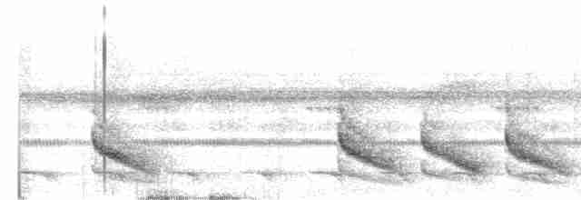 Troglodyte coraya - ML613314236