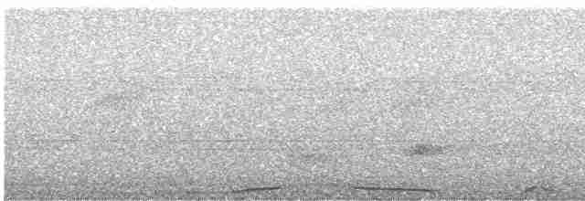 holub neotropický - ML613314562