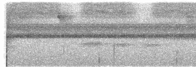 Troglodyte à poitrine grise - ML613317212