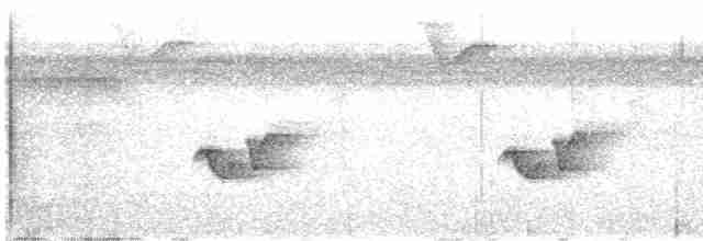 Серогрудый крапивник - ML613317978