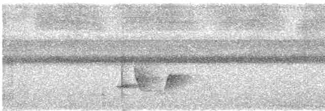 Серогрудый крапивник - ML613318052