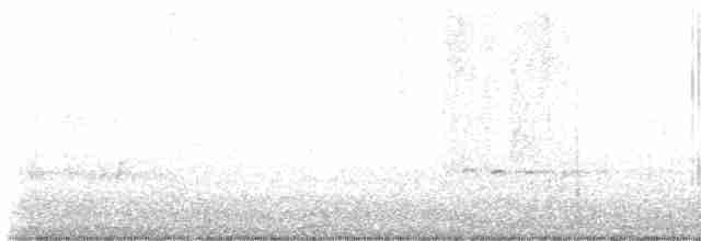 Белоголовый орлан - ML613320047