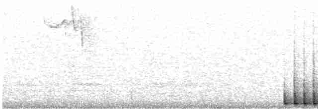 hvitbrynsvartspett - ML613321294