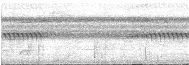 Undulated Tinamou - ML613323051