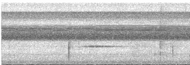 holub šedorůžový - ML613323088