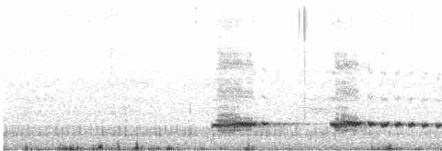 Küçük Gagalı Tinamu - ML613325279