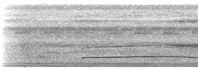 Long-billed Woodcreeper - ML613325287