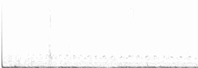 Lagopède à queue blanche - ML613332433