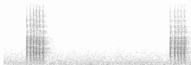 tukan černozobý - ML613336404
