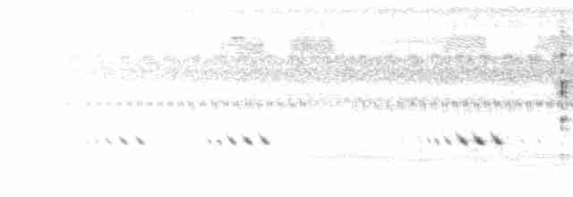 Black-browed Reed Warbler - ML613339556