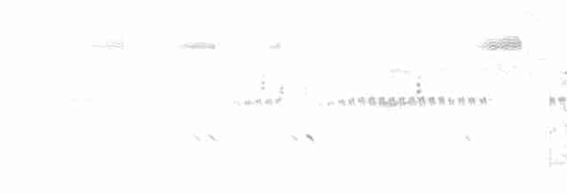 矛斑蝗鶯 - ML613339566