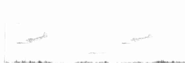 Скриточуб гімалайський - ML613339780